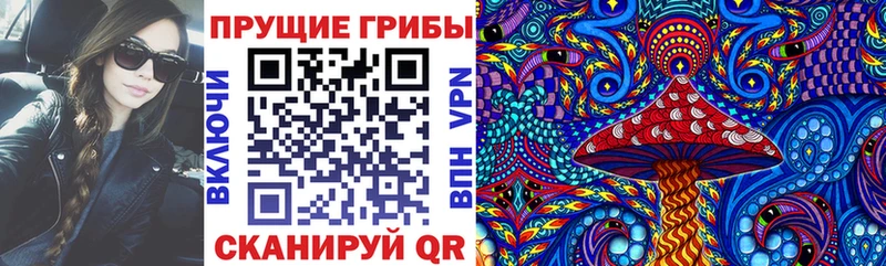 купить   Шилка  МЕГА сайт  Галлюциногенные грибы мухоморы 